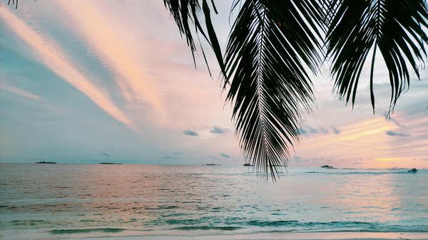 Vacances en solo à la campagne : comment tirer le meilleur parti du calme et de la sérénité